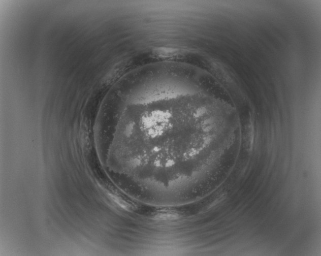 X0000081580653200701151244