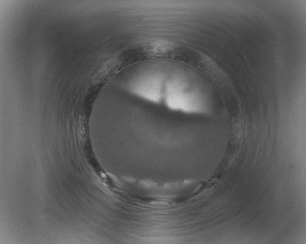 X0000081580654200701151244