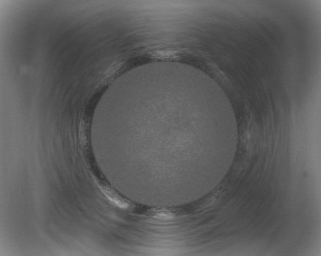 X0000081580658200701151244