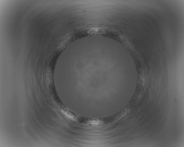 X0000081580659200701151244