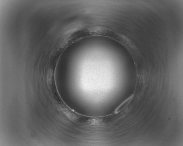 X0000081580660200701151244