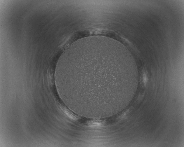 X0000081580661200701151244