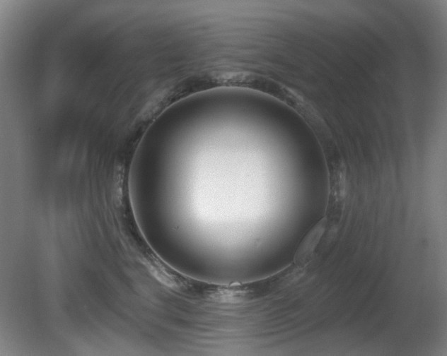 X0000081580664200701151244