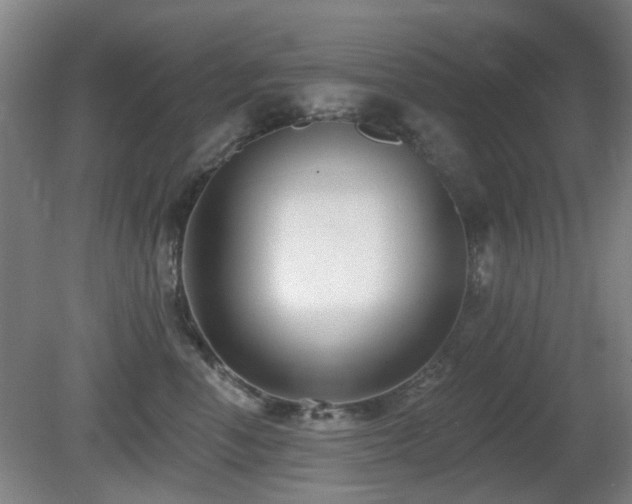 X0000081580666200701151244