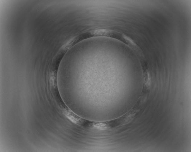 X0000081580669200701151244