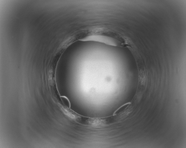 X0000081580670200701151244