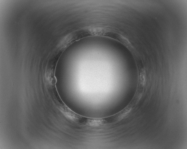 X0000081580671200701151244