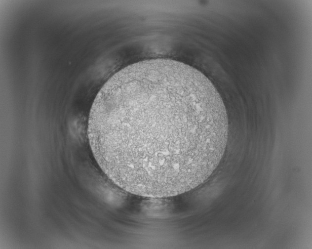 X0000081580672200701151244