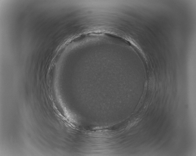 X0000081580673200701151244