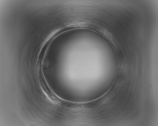 X0000081580674200701151244