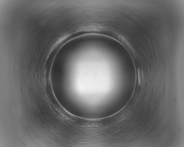 X0000081580675200701151244