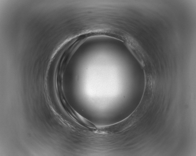 X0000081580676200701151244