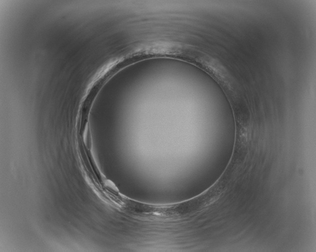 X0000081580678200701151243