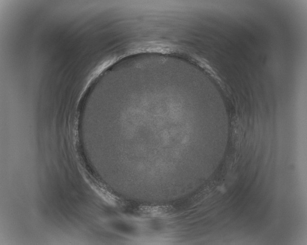 X0000081580679200701151243