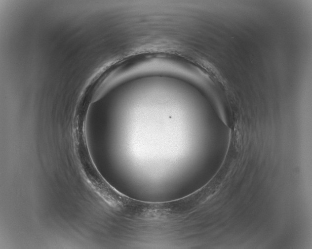 X0000081580680200701151243