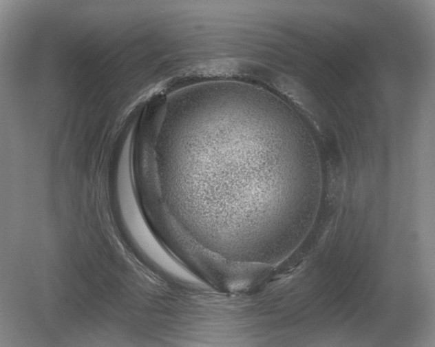 X0000081580681200701151243