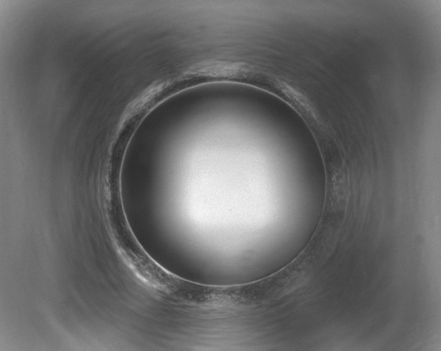 X0000081580682200701151243