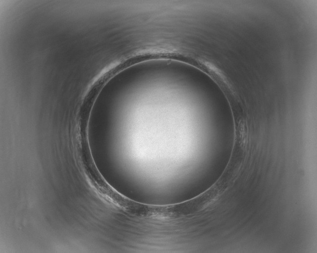 X0000081580684200701151243