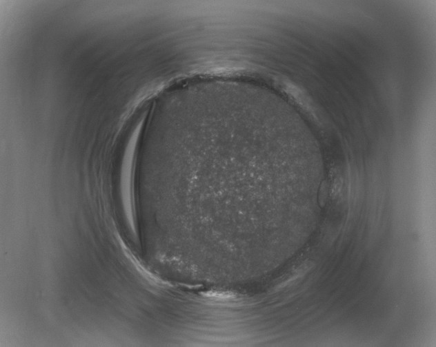 X0000081580685200701151243