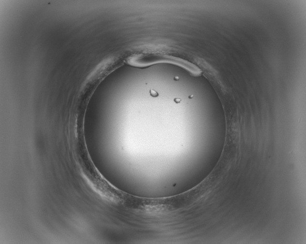 X0000081580686200701151243