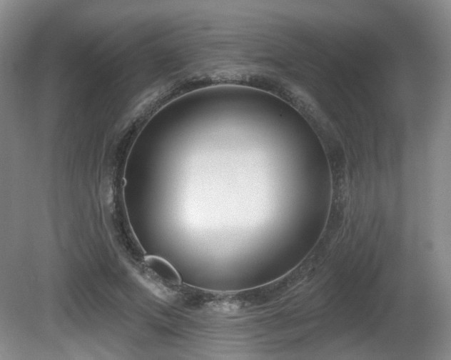 X0000081580687200701151243