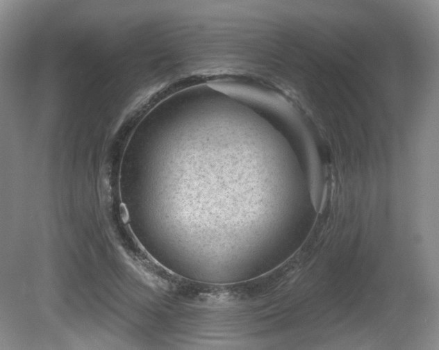 X0000081580688200701151243