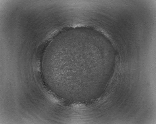 X0000081580689200701151243