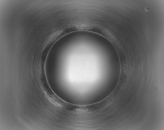 X0000081580690200701151243