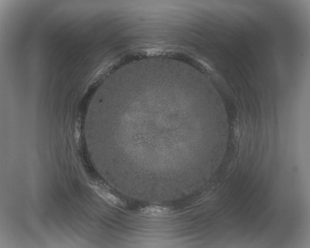 X0000081580691200701151243