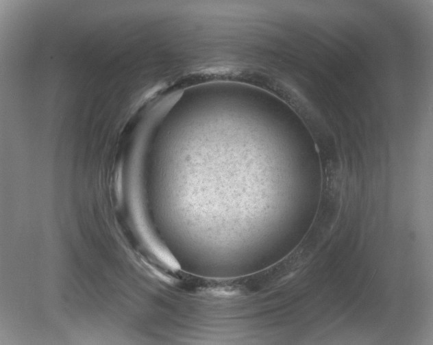 X0000081580692200701151243