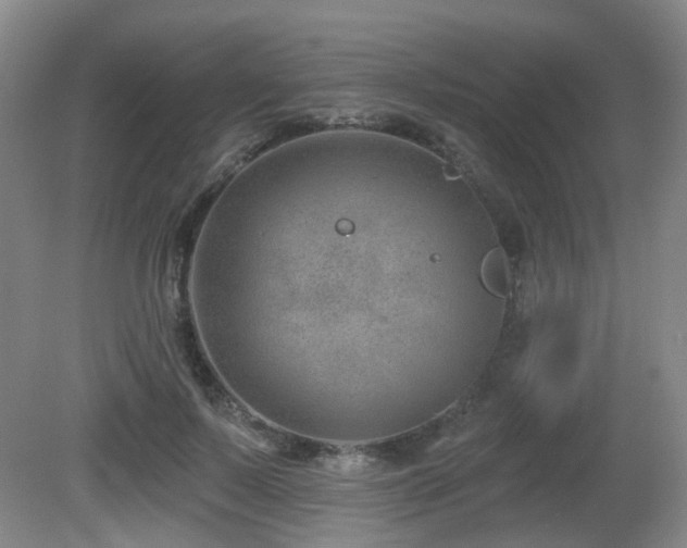 X0000081580695200701151243