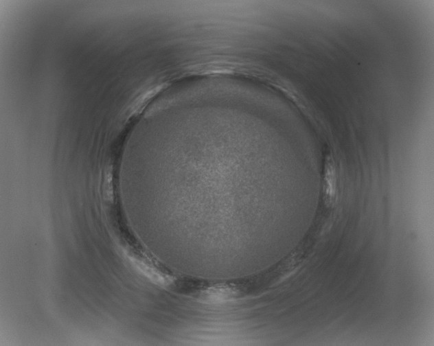 X0000081580696200701151243