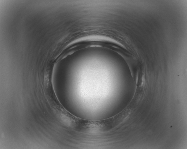 X0000081580697200701151243