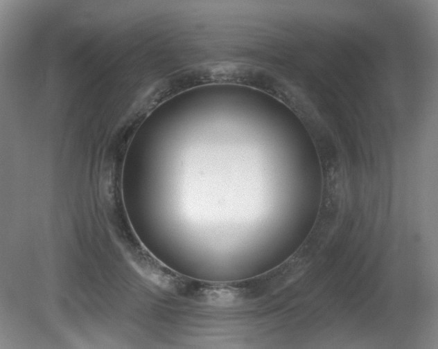 X0000081580698200701151243