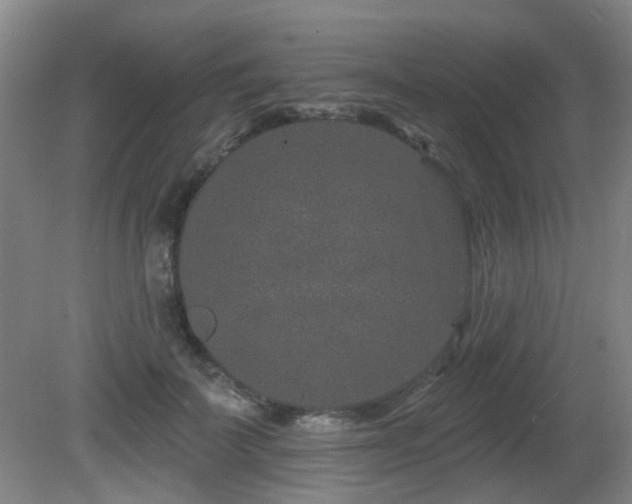 X0000081580699200701151243