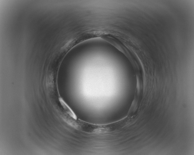 X0000081580700200701151243