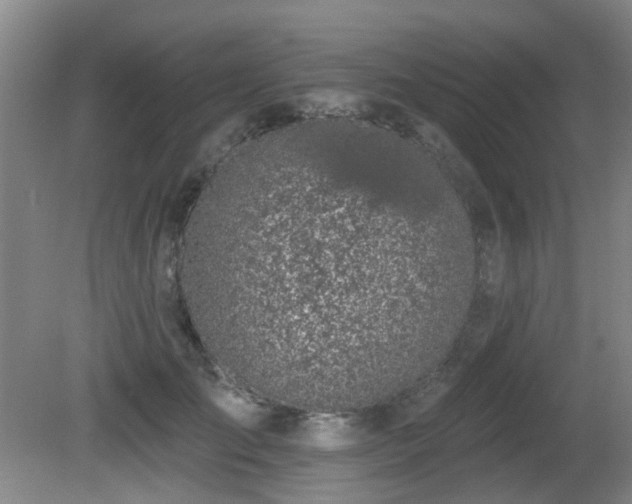 X0000081580701200701151243