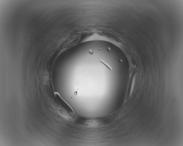 X0000081580704200701151243