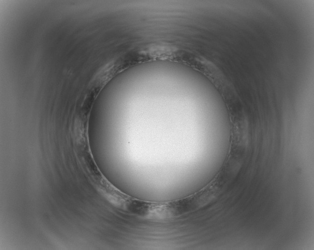 X0000081580705200701151243