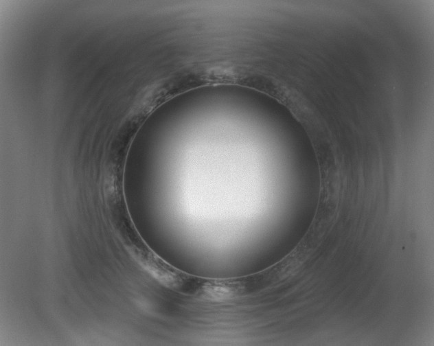 X0000081580706200701151243