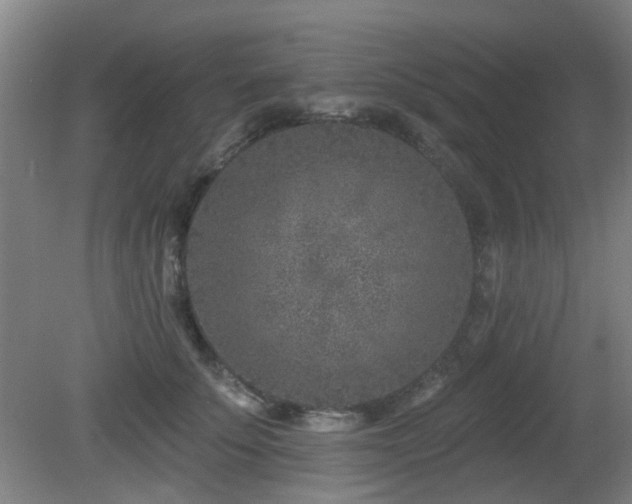 X0000081580707200701151243