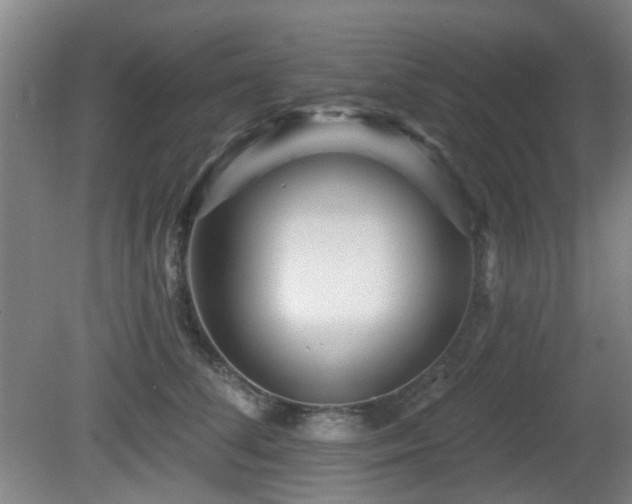 X0000081580708200701151243