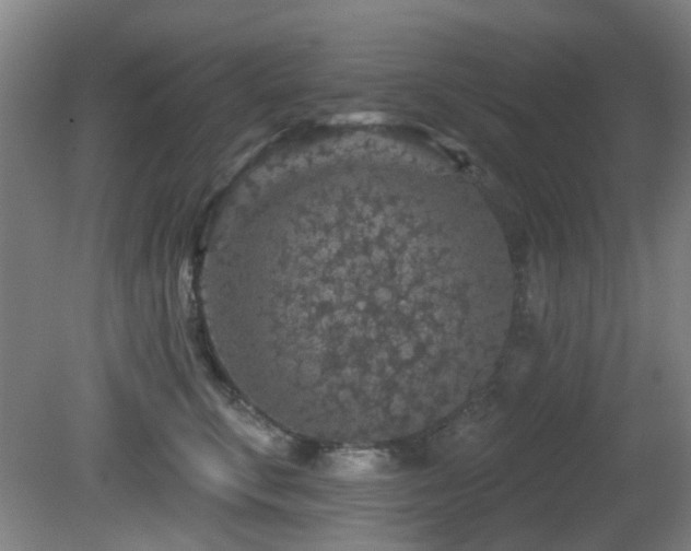 X0000081580711200701151243