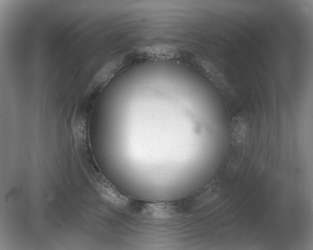 X0000081580713200701151243