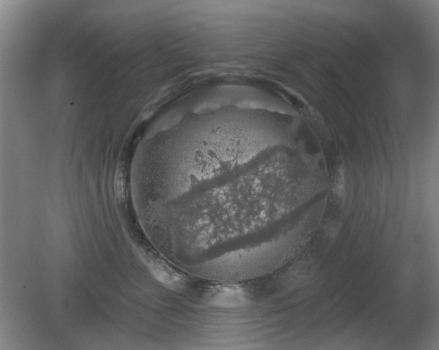 X0000081580715200701151243