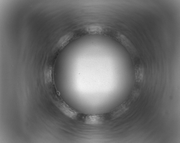 X0000081580717200701151243