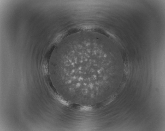 X0000081580718200701151243