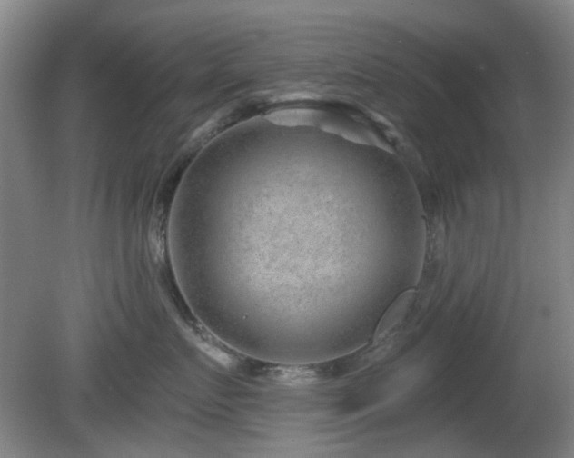 X0000081580719200701151243