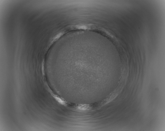 X0000081580720200701151243