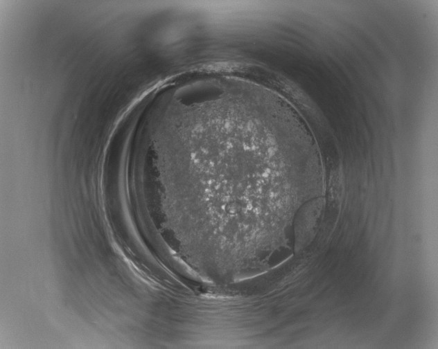 X0000081580722200701151242